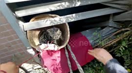 Chinese firefighters rescue cat trapped in deep ventilation shaft