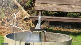 ROCKET 0,5KG Mixes I EXPERIMENT