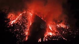 Fires started by animal hunters ravage forest in northern Thailand