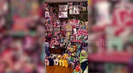 Meet one of the world's biggest My Little Pony fans whose collection of 4,500 toy horses is worth an estimated $80,000