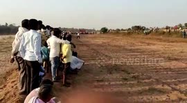 Man dies during bullock-cart race in central India
