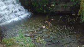 Amarante do Ribeirinho e do rio Tâmega, Amarante vista de baixo para cima.