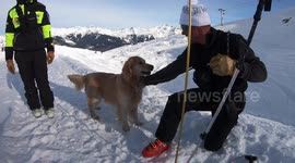 YouTuber buried in snow films his POV as he is rescued by dog in avalanche training drill