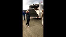 'Pony Gets Off a Trailer in Rush and Drags Owner with him'