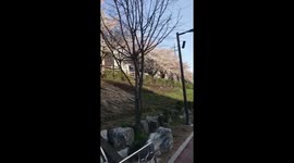 Seoul, Korea, a nice and refreshing promenade, a cherry blossom path