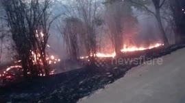 Concerns for wildlife as fire burns through national park in central India