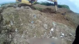 Police and villagers free mules trapped in mud in eastern China