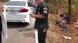 Two heartbroken pet dogs guard their dead buddy’s body in Thailand