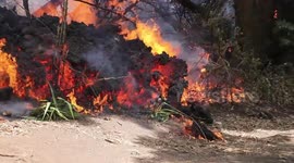 Pacaya volcano erupts in Guatemala