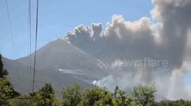 Lava spewing from Guatemala's Pacaya volcano engulfs surrounding foliage