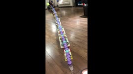 'Epic Ping Pong Trick Shot with 120 Cups'