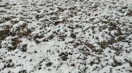 US: Northeastern States Wake Up To April Fool’s Day Snow