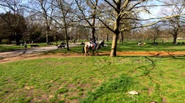 Many people attend Hyde Park on a sunny day after lockdown restrictions lifted.