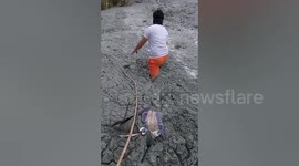 Hero passerby saves stray puppy sinking in mud with moments to spare