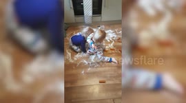 This is the moment a mum caught her mischievous twin toddlers covering the kitchen floor in FISH FINGERS and sugar