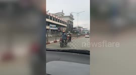 Three pet Pomeranians ride a scooter with their owner in Myanmar