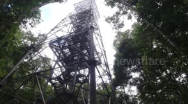 Amazing tower offers panoramic view of jungle gardens in Manaus, Brazil