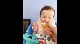 5 months old mixed baby eating lemon for the first time.