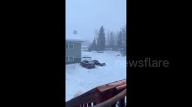 US: Record-Breaking April Snow Falls In Fairbanks, AK 2