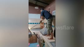 Schoolgirl, 11, devastated after python breaks into kitchen and eats her pet cat