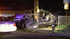 Bloodhounds Searching for Hit and Run Suspect that Caused Major Accident that Left One in Critical Condition