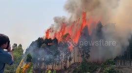 Locals watch on as fire engulfs forest in northeastern India
