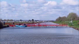 Council remove bridge to save swans in Kent, UK
