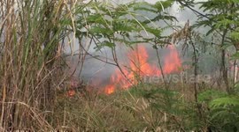 Fire crews battle wildfire adding to air pollution problem in northern Thailand