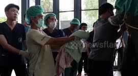 Thai vets remove world’s largest-ever gallstone from an elephant