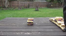 Tower Of Easter Eggs