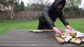 Easter Egg Discount Haul
