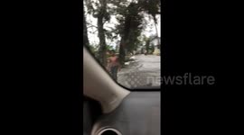 Indonesia: Aftermath Of Tropical Cyclone In East Nusa Tenggara 3