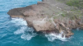 lock down on the monkey island in jamaica