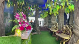 Unassuming dental clinic is decorated like an extravagant golden CAVE on the inside