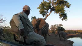 Ranger finds himself face to face with elephant during close safari encounter