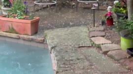 Marble-sized hail pelts Arkansas amid spring storms
