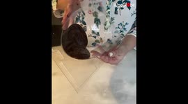 'Satisfying Clip of a Candy-Filled Chocolate Egg getting Smashed '