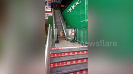 Dog struggles to disembark ascending escalator as it walks down wrong way