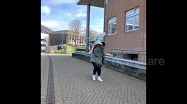 Brazen Brighton seagulls dive-bomb woman and steal her lunch