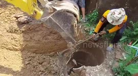 Cow rescued after falling into 15ft deep well in Thailand