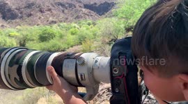 A 7-year-old boy learns photography by shooting a high-end professional Canon camera in bursts, he uses a 1dxMark II and a 500mm canon long lens to photograph nature. The boy has fun in a country house next to the river and forest in Soyopa Mexico, while