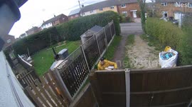 Woman horrified after camera catches delivery person urinating in her garden