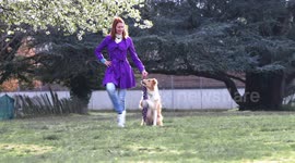 Border collie dog and its owner show off their dancing skills with umbrella