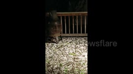 US: Springtime Storm Brings Severe Weather And Marble-Sized Hail To Central And East Texas 4