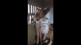 Sage overcomes her fears