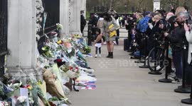 Prince Philip: A child lays flowers outside the gates of Buckingham Palace