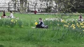 Poor tributes: Flowers being stolen from Green Park for Prince Philip memorial