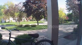 'Bicycle Thief Caught on Camera in Beverly Hills, MI'