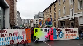French protesters met with tear gas during rally in Rennes over urban project