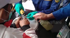 Evacuation of the Ring on the Pigeon's Feet in Duren Sawit, East Jakarta, Indonesia